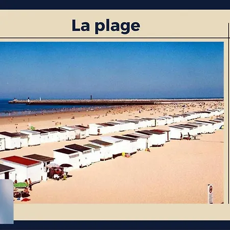 Suzanne * Calais
